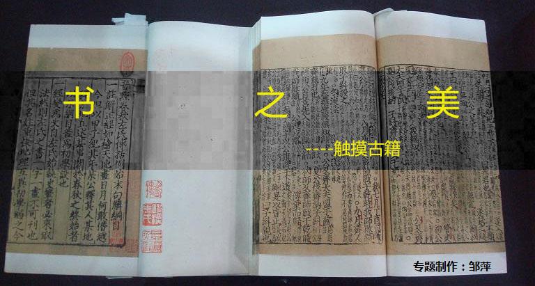 【专题】