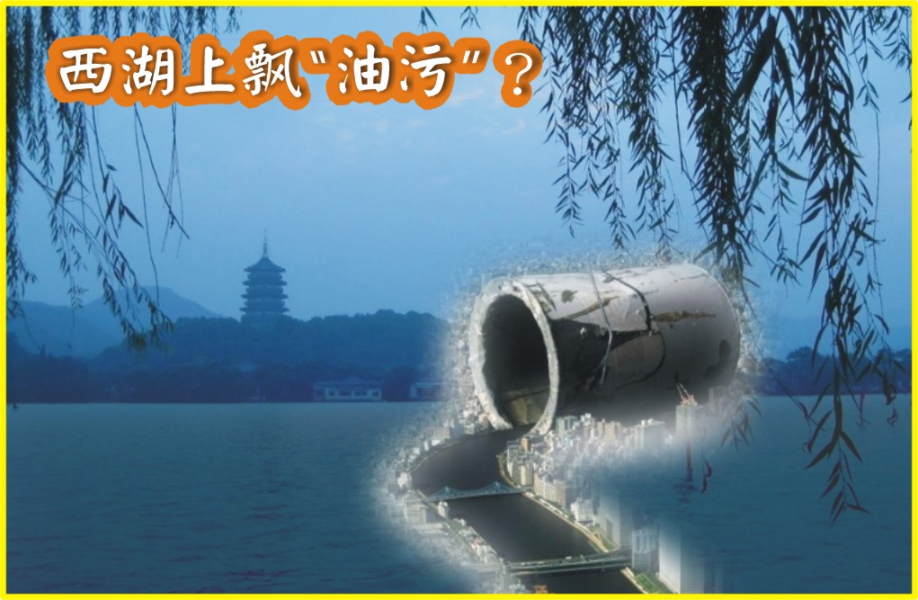 西湖上飘“油污”？水域管理处调查实非排污所致（图）